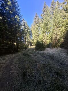 Photo de Miha Gros le long du parcours