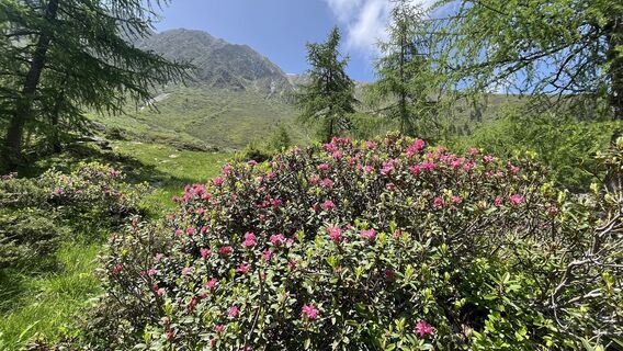 Fotografia z Maja Mariann Nagy na trase
