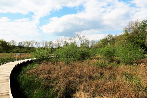 Marais Massilly @J CHR PARCEL (8)