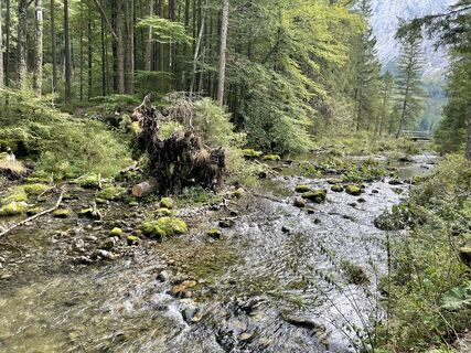 Photo de Harald Daspelgruber le long du parcours