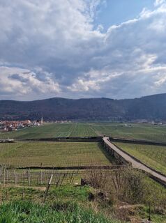 Foto von Hubert Martin entlang der Tour