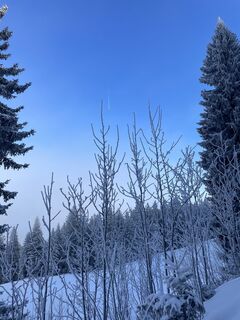 Foto von Andreas Rettner entlang der Tour