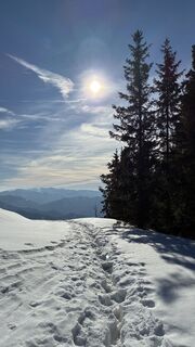 Foto von Vera Wagner entlang der Tour