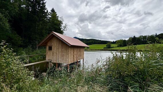 Фото с сайта Jana Penz во время экскурсии