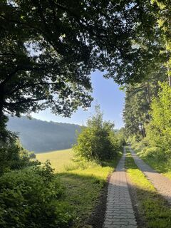 Foto de Csenger Reichardt a lo largo del recorrido