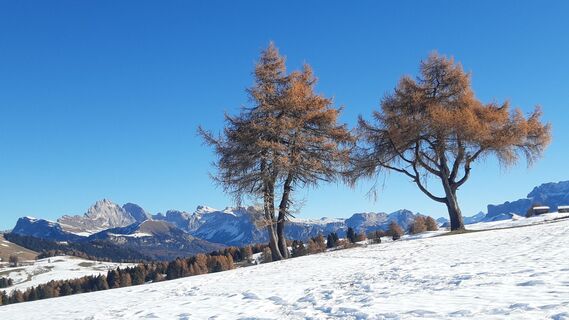Kuva osoitteesta Ruggero Sampieri matkan varrella