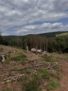 Foto von Andreas Endres 1 entlang der Tour