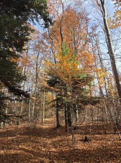 Zdjęcie z Harald Kriebel wzdłuż trasy