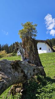 Foto von Michaela Egger entlang der Tour