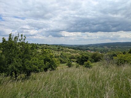 Foto fra Edero undervejs på turen