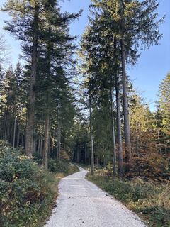 Fotografija s spletne strani Heinz Sperl na poti