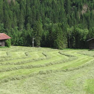 Kleinwalsertal | Walserstall Mittelberg
