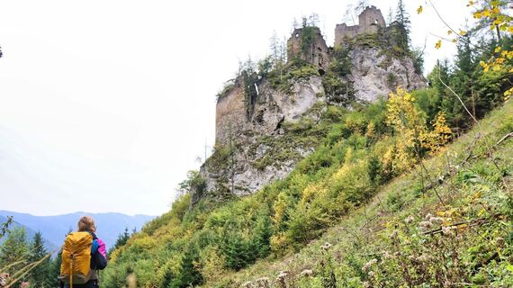 Ruine Kammerstein