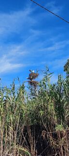 Foto von Raffaele Giovanazzi entlang der Tour