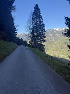 Foto de Sophie van Pelt a lo largo del recorrido