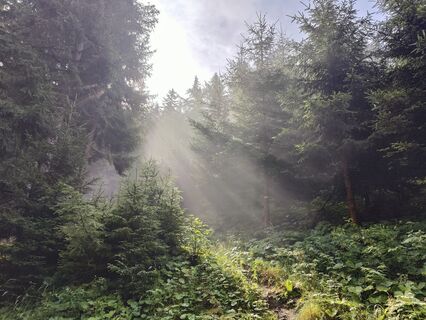 Foto von Lena Eder entlang der Tour