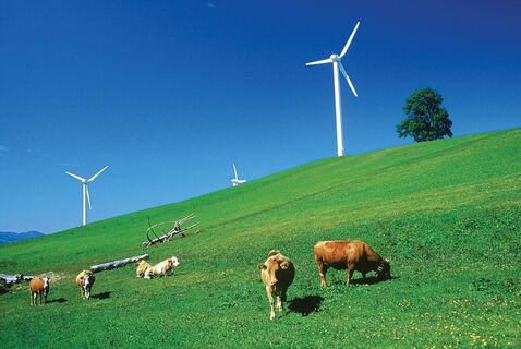 Windpark Laussa