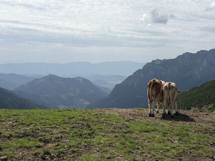 Foto von Gerti Glettler entlang der Tour
