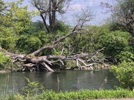 Zdjęcie z Thomi W wzdłuż trasy