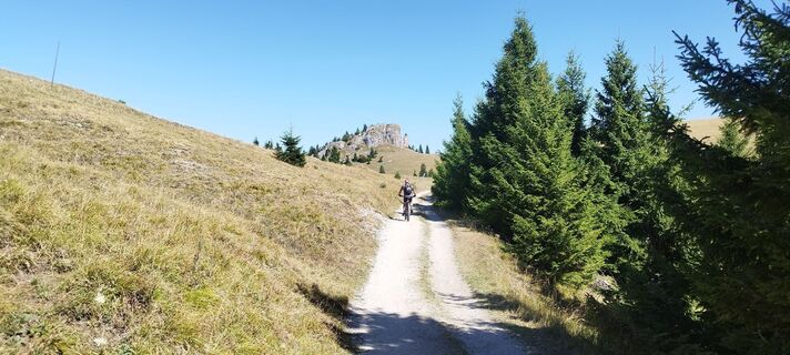 Fotografija s spletne strani Beisteiner H na poti