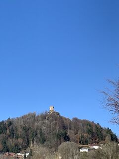 Fotografija s spletne strani Regina Bauer na poti