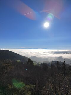 Fotografie de la ReginaSt de-a lungul turului