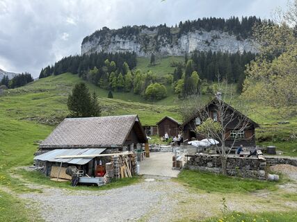 Foto från Daniel Herz under resans gång