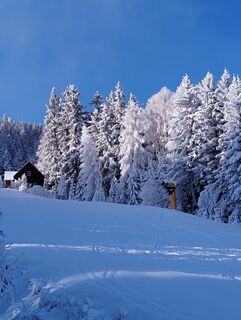 Foto de Albert Grillitsch a lo largo del recorrido
