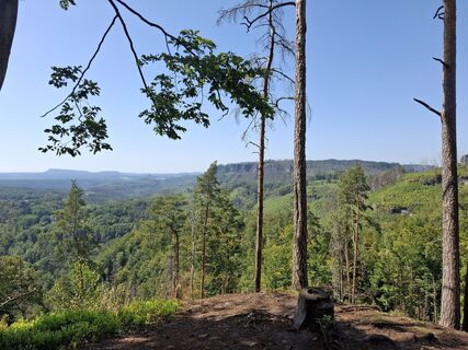 Foto de nordbergschnecke a lo largo del recorrido