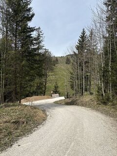 Fotografia z Heinz Sperl na trase