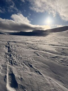 Fotografija s spletne strani Fabio Baiocco na poti