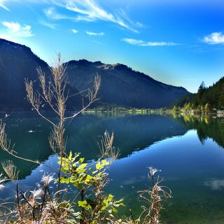 Blick über den Haldensee