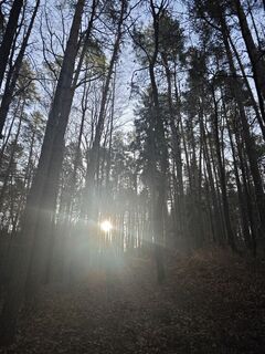 Photo from Koisiegi Japankoi-Bonsai along the tour