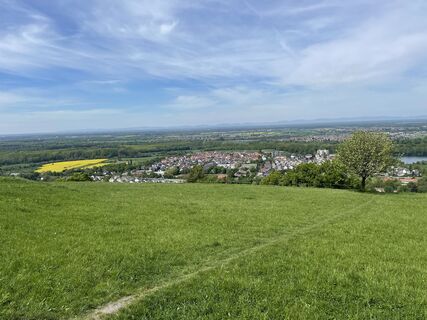 Fotografija s spletne strani Ralf Umminger na poti
