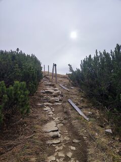 Foto de Hans-Jürgen Riepler a lo largo del recorrido