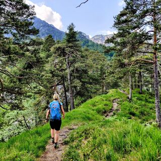 Schmale Waldwege prägen die Runde im Lattengebirge.