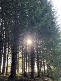 Fotografia z Schabsi na trase