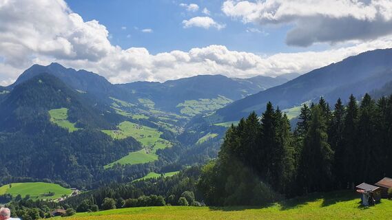 Fotografia z Gerrit van der Linde na trase