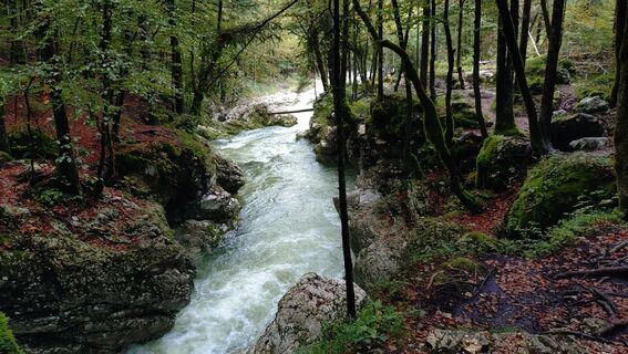 Foto von István Gábor 1 entlang der Tour