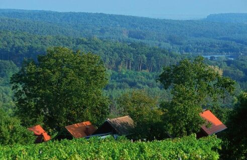 Csaterberg - Blick ins Tal