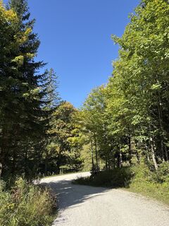 Fotografija s spletne strani Heinz Sperl na poti