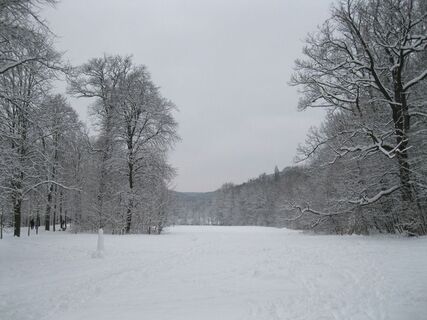 Neuwaldegg - Exelberg