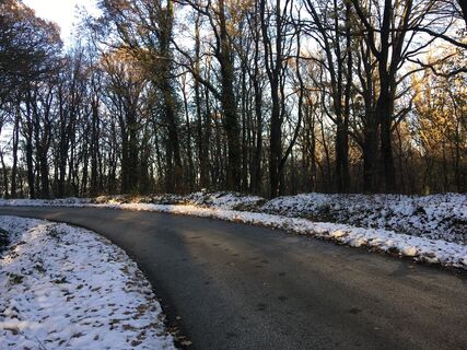 Fotografia z Gyula Gerecs na trase