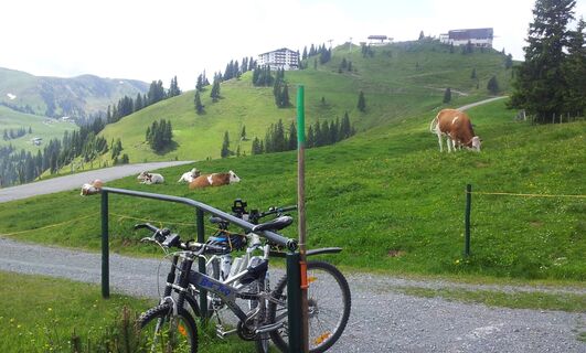 Café am Hahnenkamm