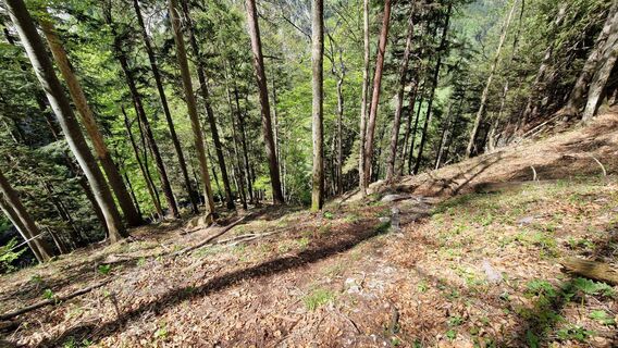 Fotografija s spletne strani EP87 na poti