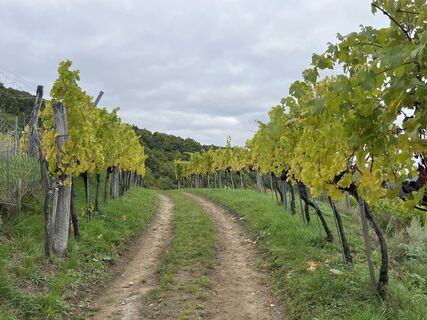 Foto fra Alfred Weber undervejs på turen