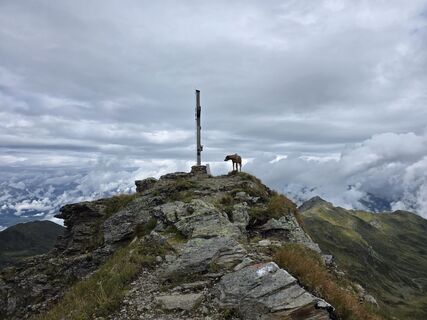Foto von Schneekar entlang der Tour