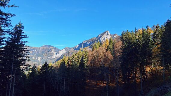 Fotografija s spletne strani Regina Fleischmann na poti