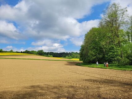 Foto från schenkeli under resans gång