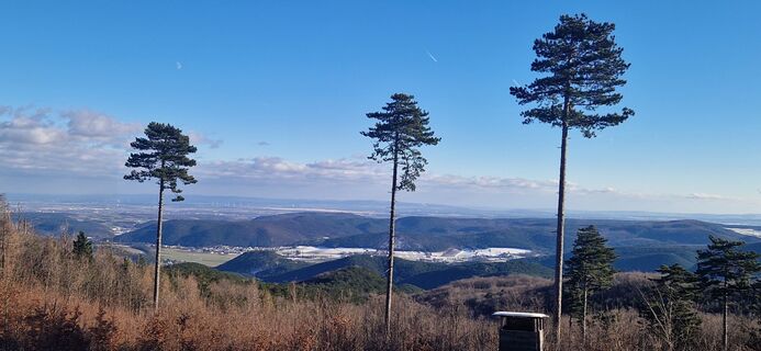 Foto von Astrid Zimmermann 1 entlang der Tour